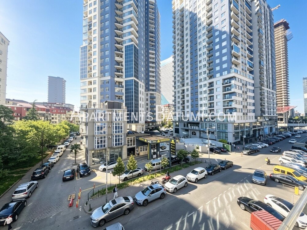 Продажа квартиры 42м² на улице Пиросмани | Батуми, вид на город