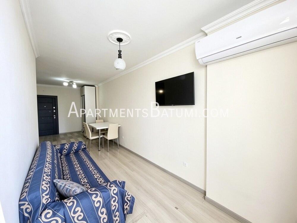 Продажа квартиры 42м² на улице Пиросмани | Батуми, вид на город