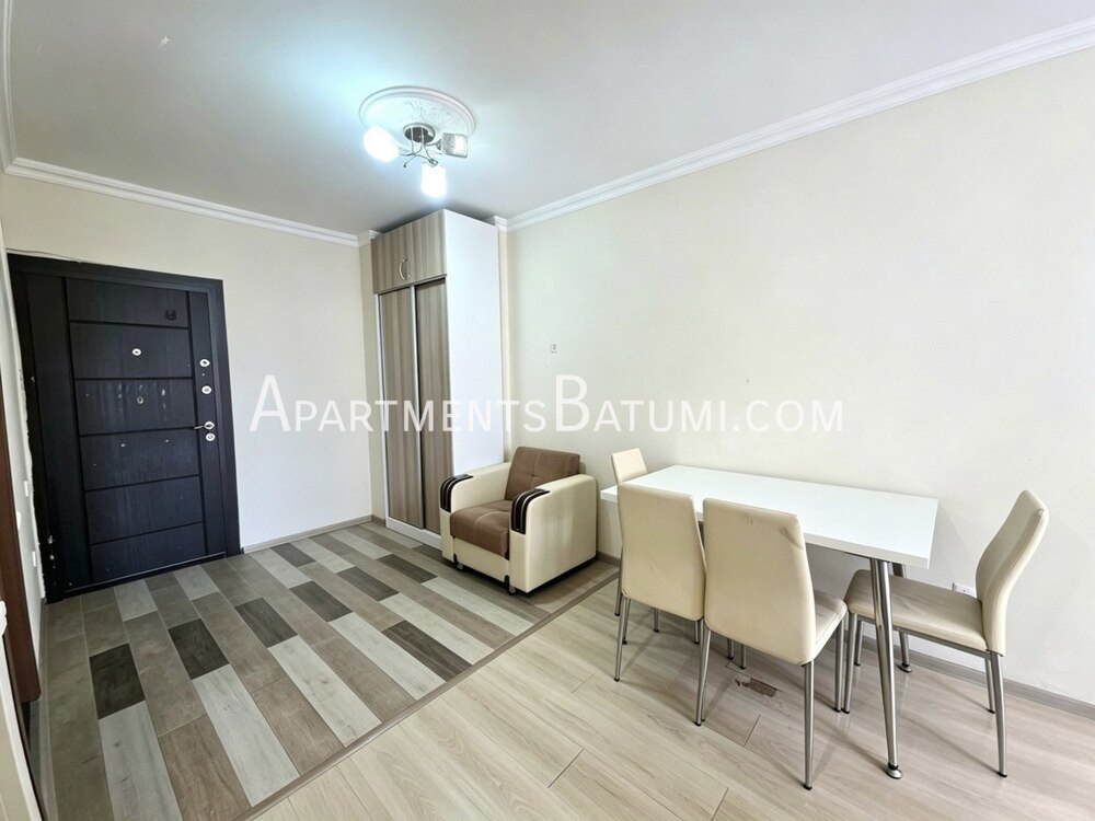 Продажа квартиры 42м² на улице Пиросмани | Батуми, вид на город