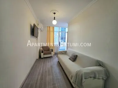 42m² apartment for sale on Pirosmani Street | Batumi, city view - 4