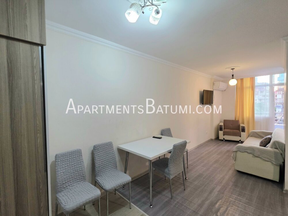 42m² apartment for sale on Pirosmani Street | Batumi, city view