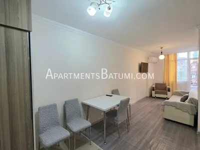 42m² apartment for sale on Pirosmani Street | Batumi, city view - 9