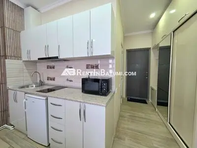 Аренда студии в комплексе Next - 5