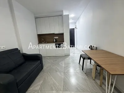 Аренда новой студии 36 м² в пер. Ангиса - 4