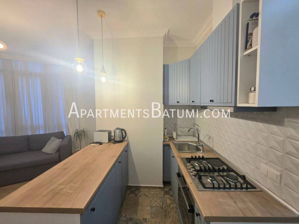 Аренда 1+1, 45 м² на Горгиладзе за $550